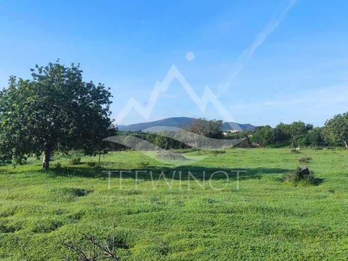 Finca building plot with approved base project near Cala Mendia