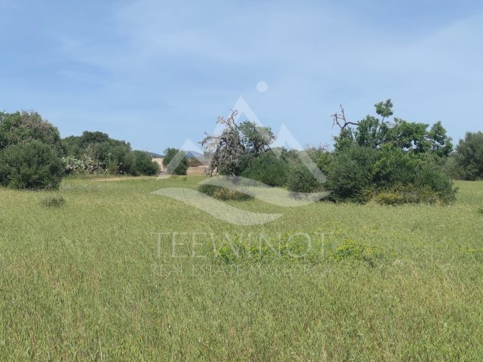 Attention investors - large building plot in Campos