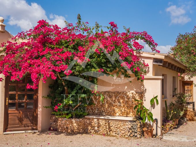 Beautiful, quietly situated finca with guest apartment near Porto Cristo