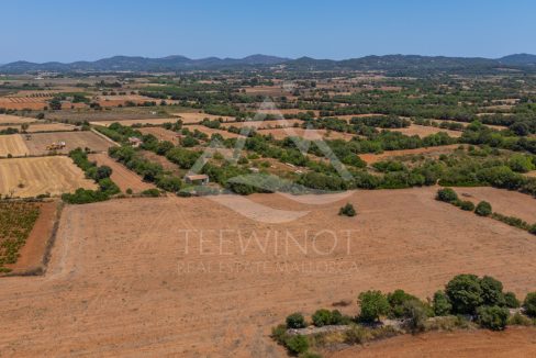 TRE96502_LQW-13
