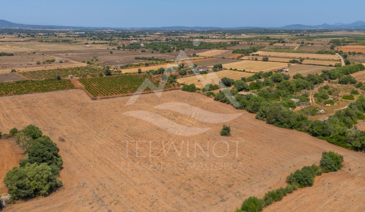 TRE96502_LQW-15