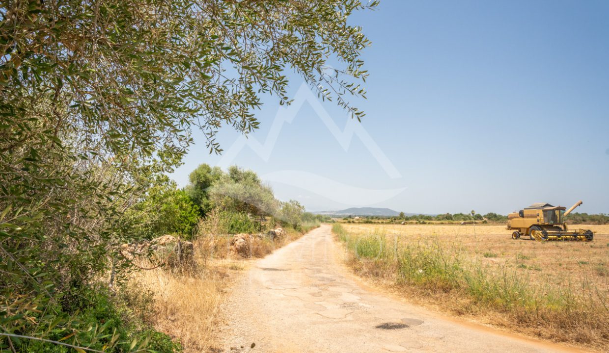 TRE96502_LQW-2