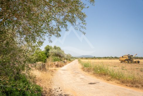 TRE96502_LQW-2