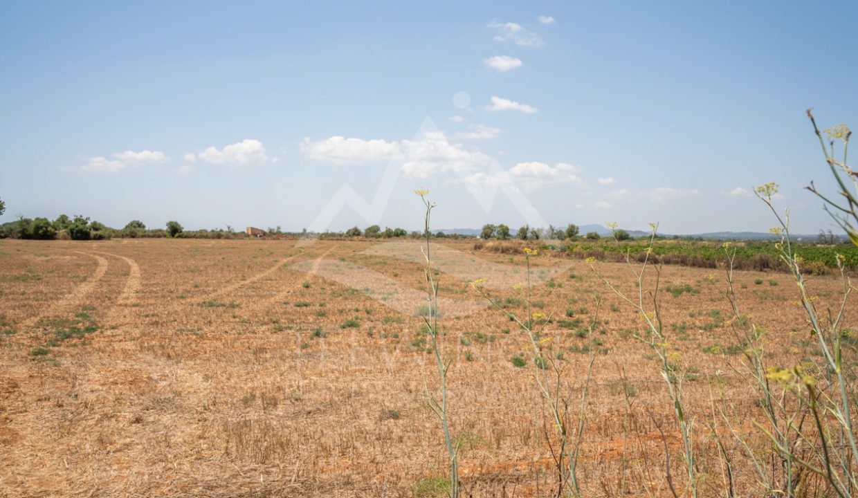 TRE96502_LQW-5