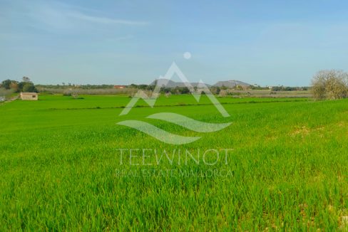 TRE96506_LQW-2