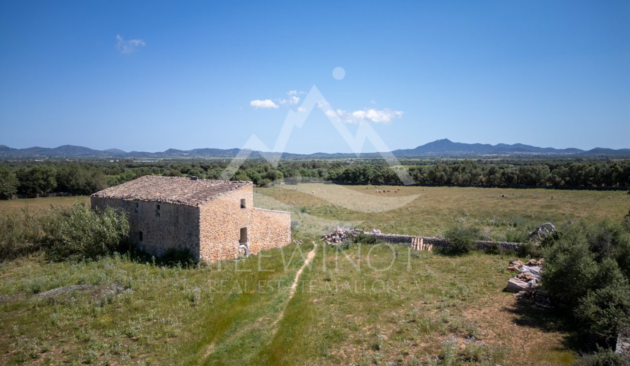 TRE96512_LQW-1