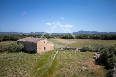 TRE96512_LQW-1