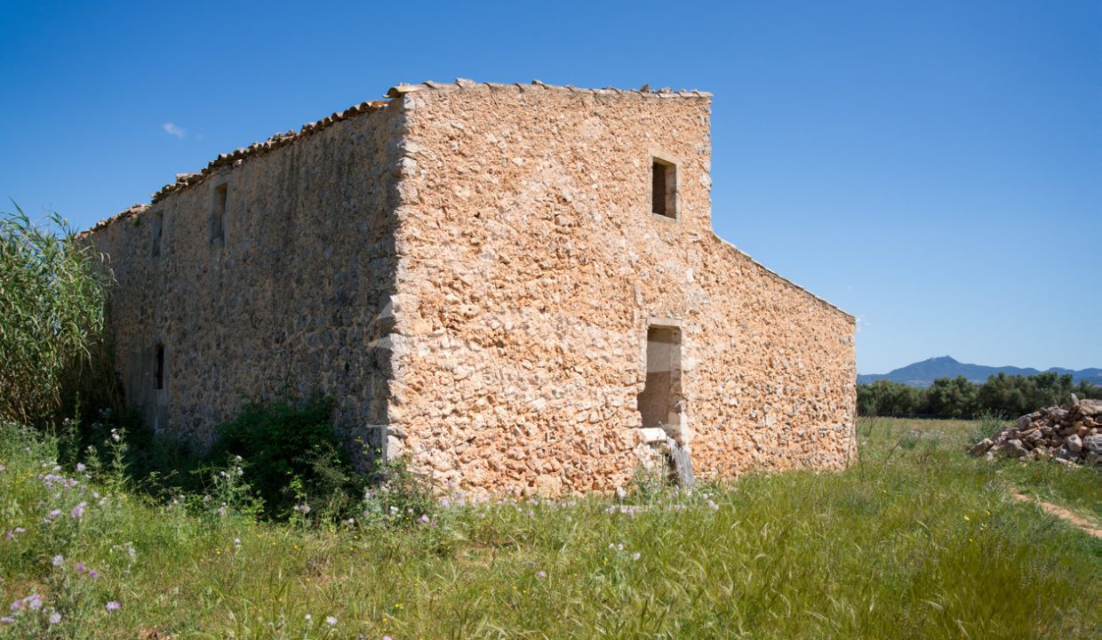 TRE96512_LQW-13