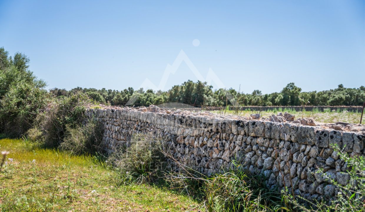 TRE96512_LQW-23