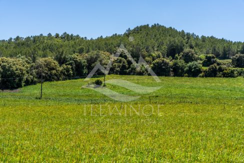 TRE96514_LQW-23
