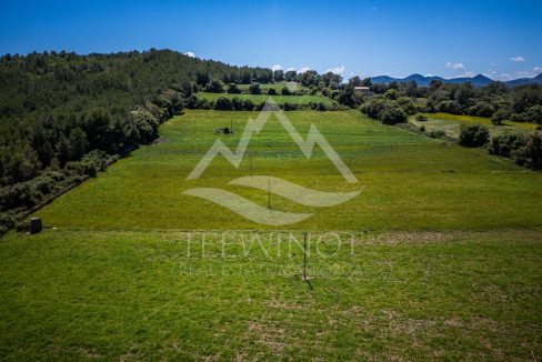 TRE96514_LQW-3