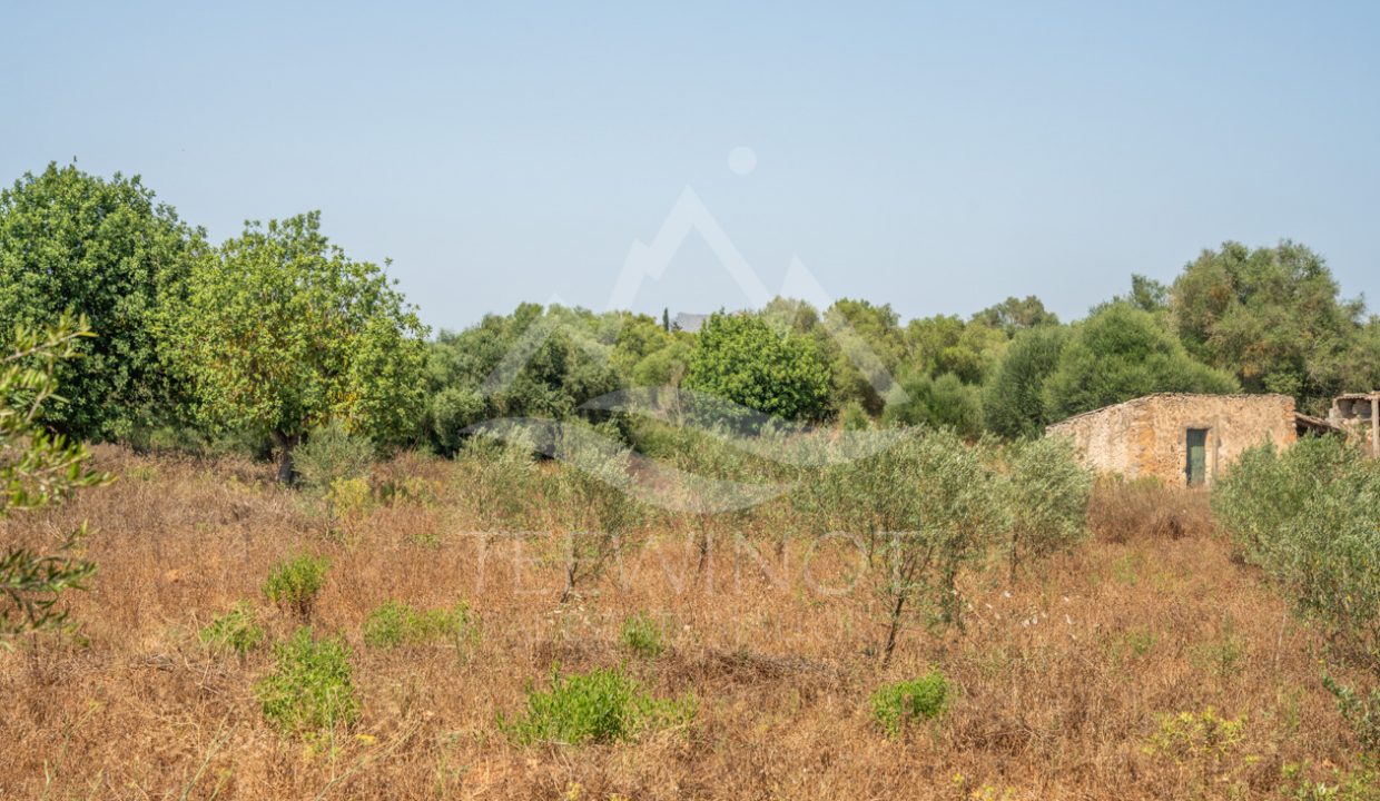 TRE96519_LQW-3