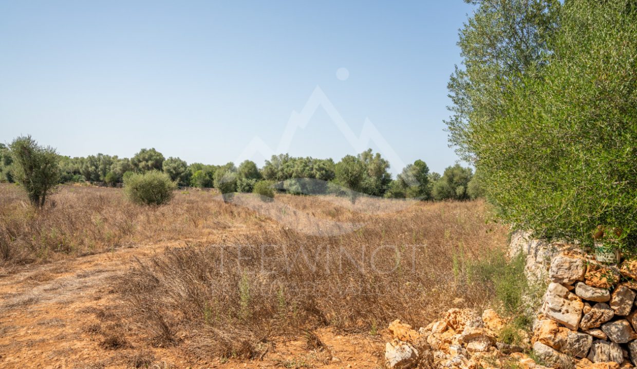 TRE96519_LQW-7