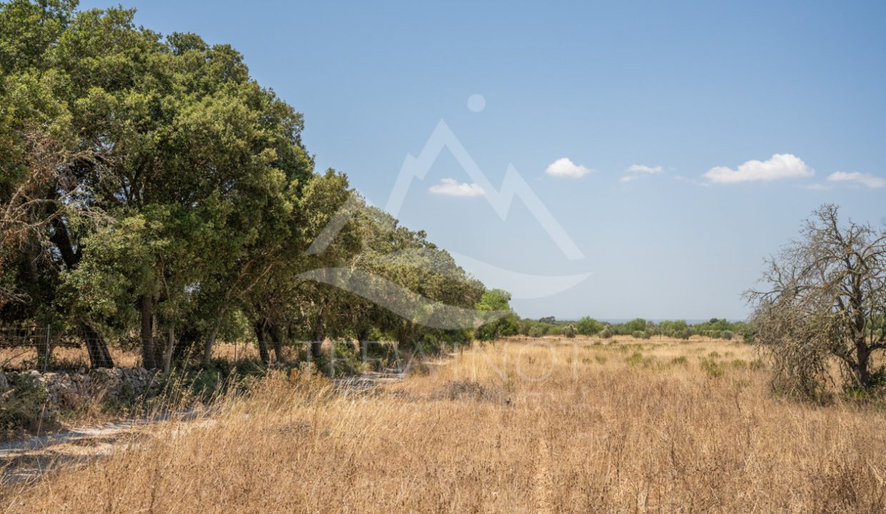 TRE96520_LQW-4