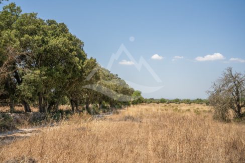 TRE96520_LQW-4